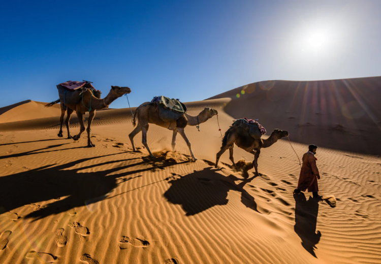 אברהם אבינו - אבי הגרים