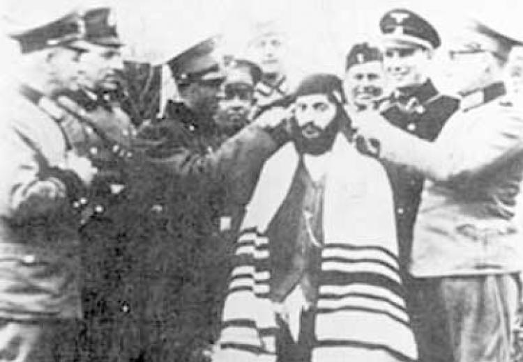 קינה על השואה שחיבר הרב יחיא אלשייך