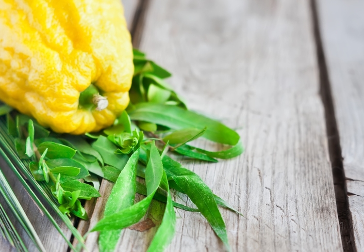 הזיק את חברו בעת שנענע בלולבו, האם יתחייב בדמי נזיקין?