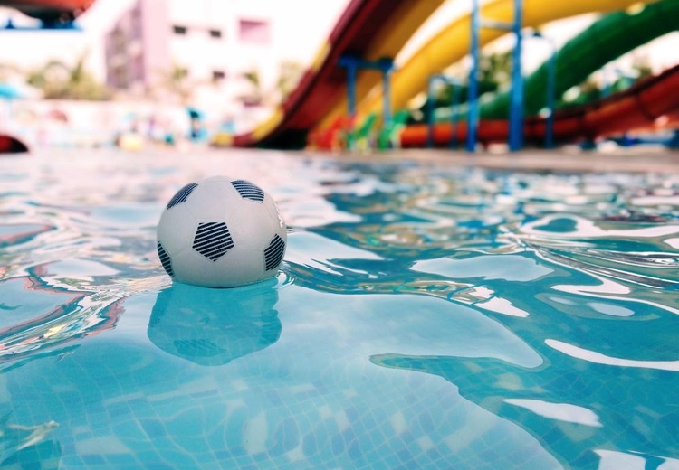 היש חובה על האב ללמד את בנו שחיה?